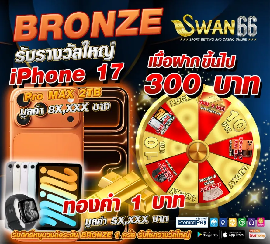 โปรBRONZE